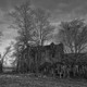 Illustration for article titled Shooting Challenge: Spooky, Naked Trees